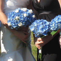 bridal veil flowers