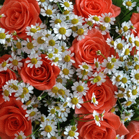 bouquets and sweet-stuff for easter shop in gainesville