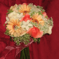 bridal veil flowers